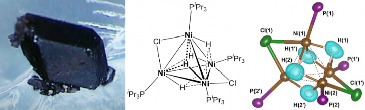 Nickel hydride catalyst